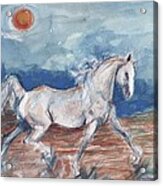 Running Horse Acrylic Print