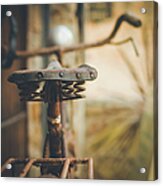 Rust Acrylic Print