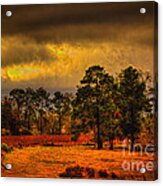 Rustic Pasture Acrylic Print