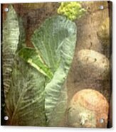 Rustic Vegetable Fruit Medley Iii Acrylic Print