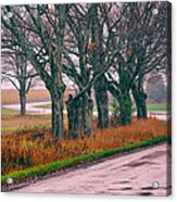 S Bend Road In Autumn Acrylic Print