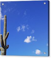 Blue Sky, Saguaro  And Clouds Acrylic Print