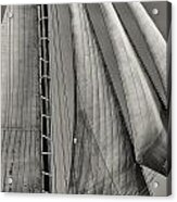 Sails Acrylic Print