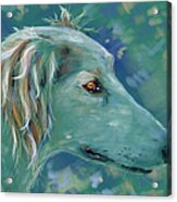 Saluki Dog Painting Acrylic Print by Michelle Wrighton