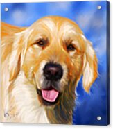 Happy Golden Retriever Painting Acrylic Print by Michelle Wrighton