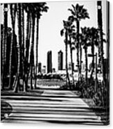 San Diego Skyline From Coronado Island In Black And White Acrylic Print