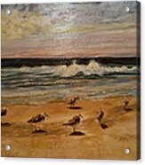 Sand Pipers Acrylic Print