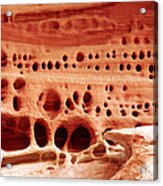 Sandstone Designs Acrylic Print