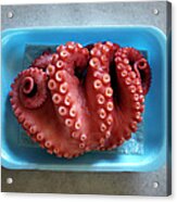 Sashimi Octopus On Counter Acrylic Print