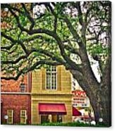 Savannah Square Acrylic Print