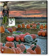 Scarecrow Standing Guard Acrylic Print
