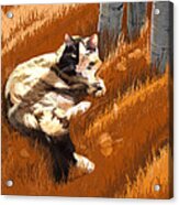 Scout In Autumn Acrylic Print