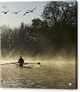 Sculling In Mist On River Thames_ Acrylic Print