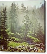 Sea Mist In The Forest Acrylic Print
