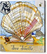 Sea Shells Acrylic Print