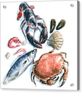 Seafood Watercolor Acrylic Print