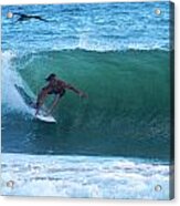 Seagulls Surfing Acrylic Print