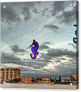 Seahorse Dance Acrylic Print