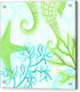 Seahorse Reef Panel Ii Acrylic Print