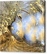 Seeds Of Peace -abstract Art Acrylic Print