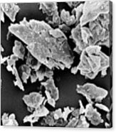 Sem Of Particles Of Talcum Powder X1000. Acrylic Print