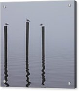 Seneca Lake Morning Mist Acrylic Print