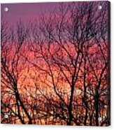 Sensational Sunrise Marching In Acrylic Print