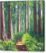Serenity Forest Acrylic Print