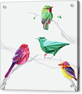 Set Of Abstract Geometric Colorful Birds Acrylic Print