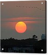 Setting Sun Acrylic Print