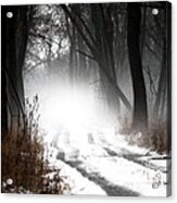 Shadows And Mist At Mentha Acrylic Print