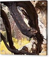 Sheep Creek Canyon Wyoming 7 Acrylic Print