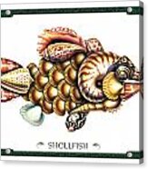Shellfish Acrylic Print