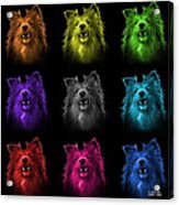 Sheltie Dog Art 0207 - Bb - M Acrylic Print