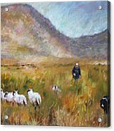 Shepherd And Sheep In The Valley Acrylic Print