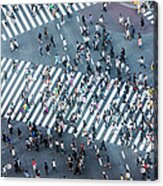 Shibuya Crossing Aerial Acrylic Print