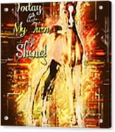 Shine Acrylic Print