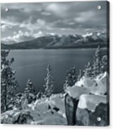 Shivery Bw Acrylic Print