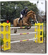 Show Jumping In Argentina Acrylic Print