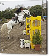 Show Jumping In Argentina #2 Acrylic Print