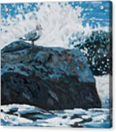 Shower In The Surf Acrylic Print