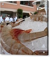 Shrimp On Ice Acrylic Print