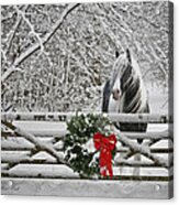 Silent Night Acrylic Print