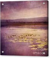 Silent Water Acrylic Print