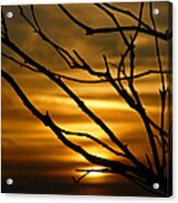 Silhouette Sunset Acrylic Print