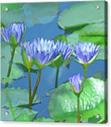 Silken Lilies Acrylic Print