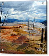 Simmering Color Acrylic Print