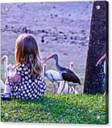 Sitting Girl With Ducks Acrylic Print