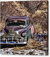 Sitting Pretty In Silver Plume Acrylic Print