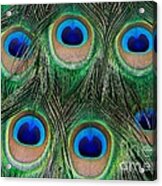 Six Eyes Acrylic Print